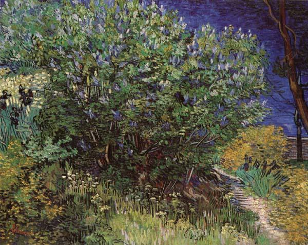 Vincent Van Gogh Bushes china oil painting image